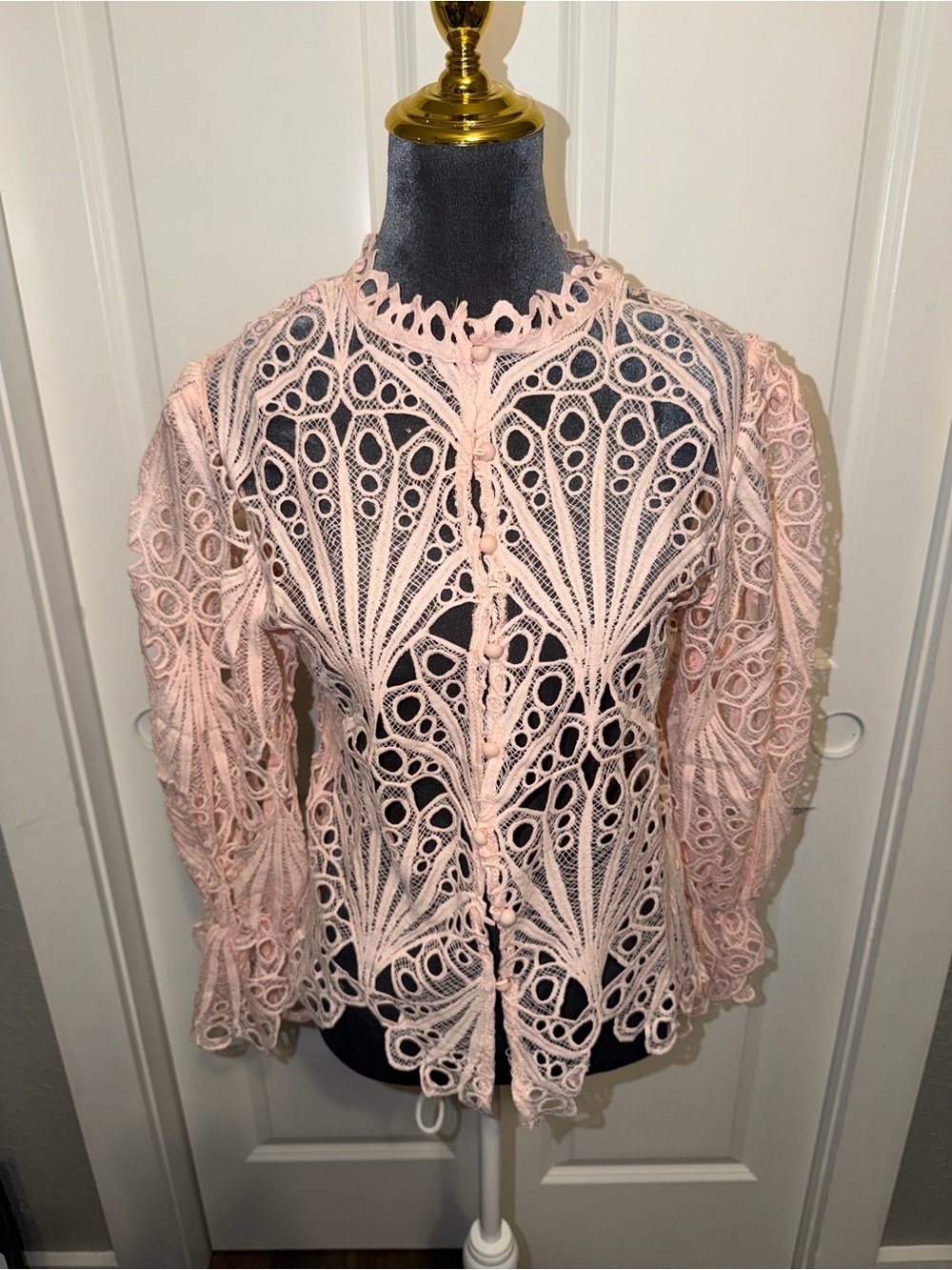 Delicate Pink Lace Button-Front Women's Top